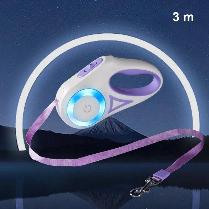 Automatic retractable dog leash with LED light, purple design, suitable for all dog sizes, night use.